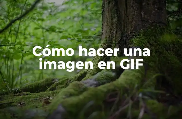 Cómo Hacer una Imagen en Gif