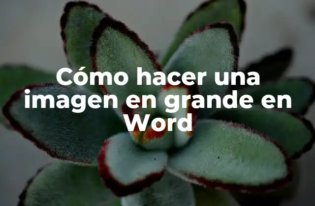Cómo Hacer una Imagen en Grande en Word