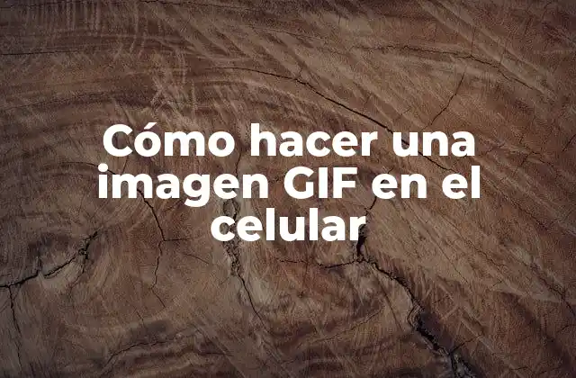 Cómo Hacer una Imagen Gif en el Celular