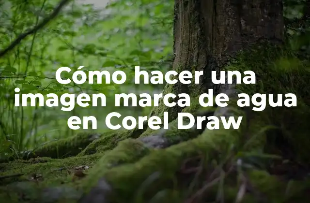 Cómo Hacer una Imagen Marca de Agua en Corel Draw