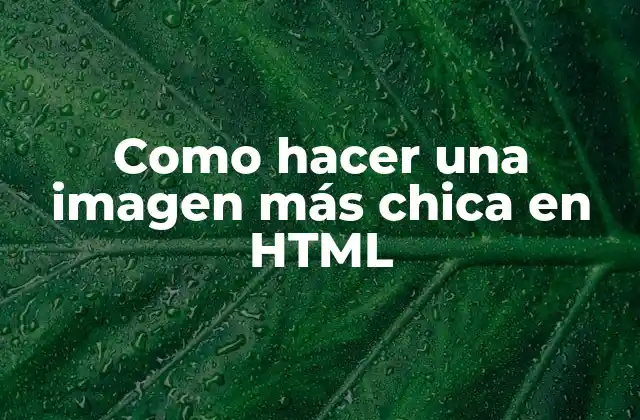 Como Hacer una Imagen Más Chica en Html