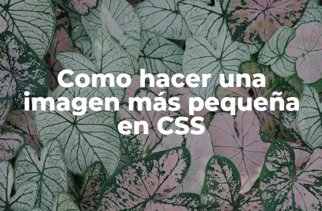 Como Hacer una Imagen Más Pequeña en Css