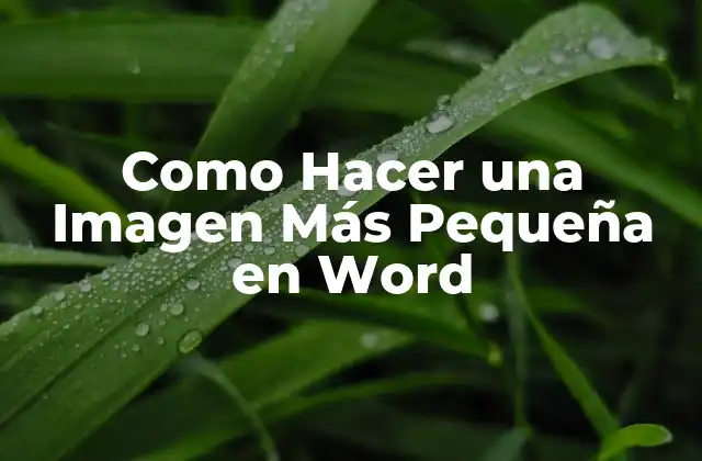 Como Hacer una Imagen Más Pequeña en Word