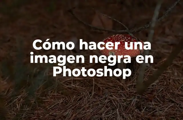Cómo Hacer una Imagen Negra en Photoshop