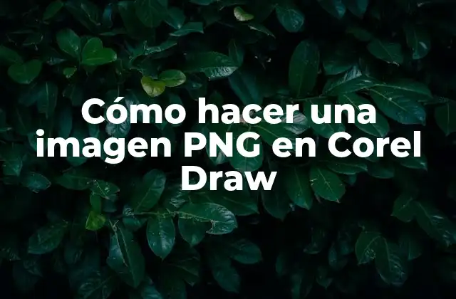 Cómo Hacer una Imagen Png en Corel Draw