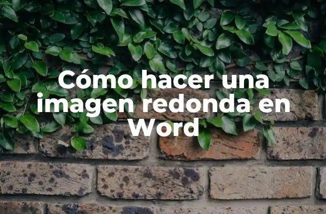 Cómo Hacer una Imagen Redonda en Word