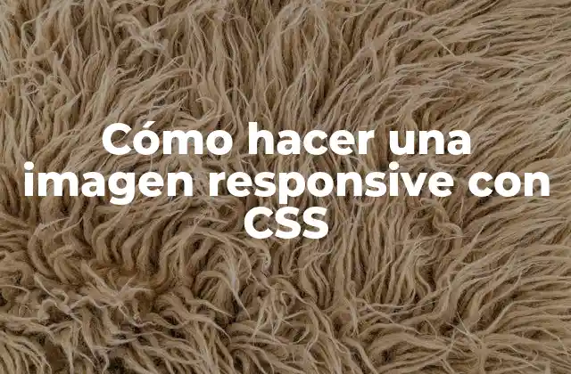 Cómo Hacer una Imagen Responsive con Css