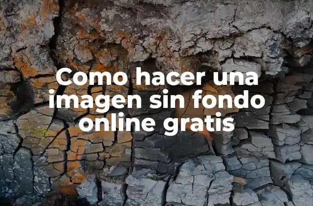 Como Hacer una Imagen sin Fondo Online Gratis