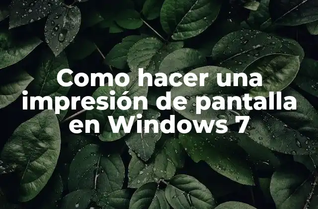 Como Hacer una Impresión de Pantalla en Windows 7
