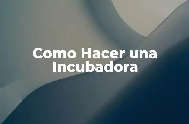 Como Hacer una Incubadora