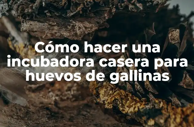 Cómo Hacer una Incubadora Casera para Huevos de Gallinas