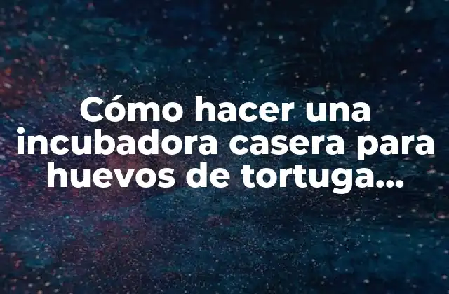 Cómo Hacer una Incubadora Casera para Huevos de Tortuga Terrestre