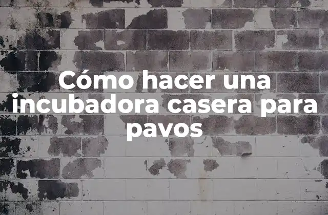 Cómo Hacer una Incubadora Casera para Pavos
