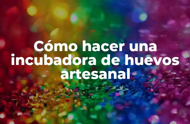 Cómo Hacer una Incubadora de Huevos Artesanal