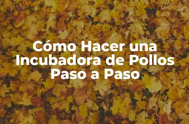 ¿Qué es una Incubadora de Pollos y para qué Sirve?