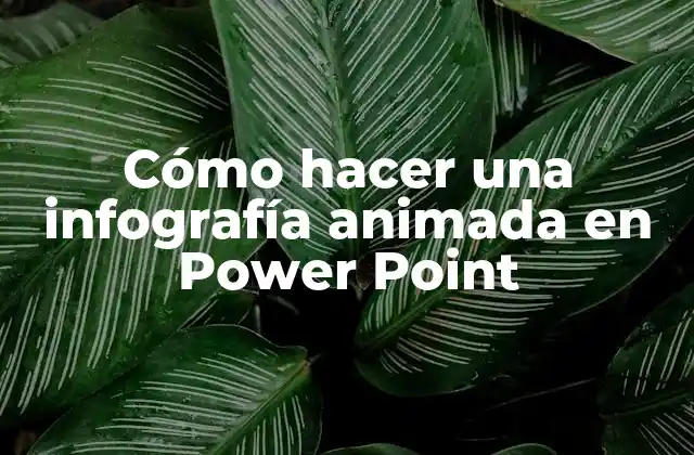 Cómo Hacer una Infografía Animada en Power Point
