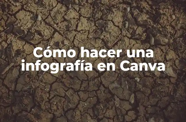 Cómo Hacer una Infografía en Canva