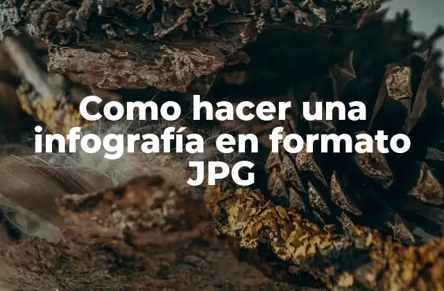 Como Hacer una Infografía en Formato Jpg