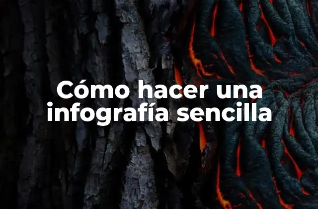 Cómo Hacer una Infografía Sencilla