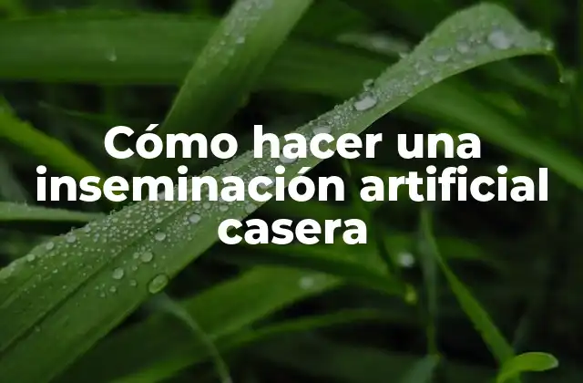 Cómo Hacer una Inseminación Artificial Casera