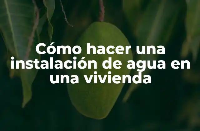 Cómo Hacer una Instalación de Agua en una Vivienda