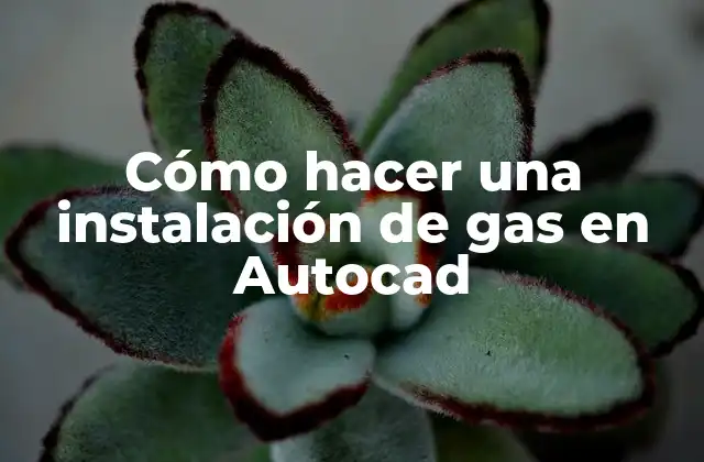 Cómo Hacer una Instalación de Gas en Autocad