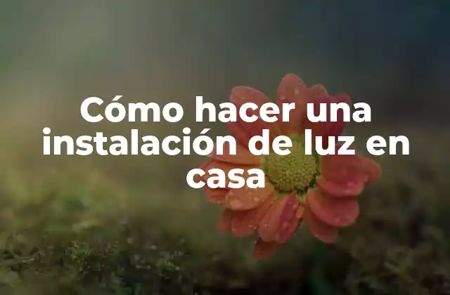 Cómo Hacer una Instalación de Luz en Casa