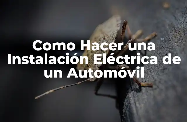 Como Hacer una Instalación Eléctrica de un Automóvil