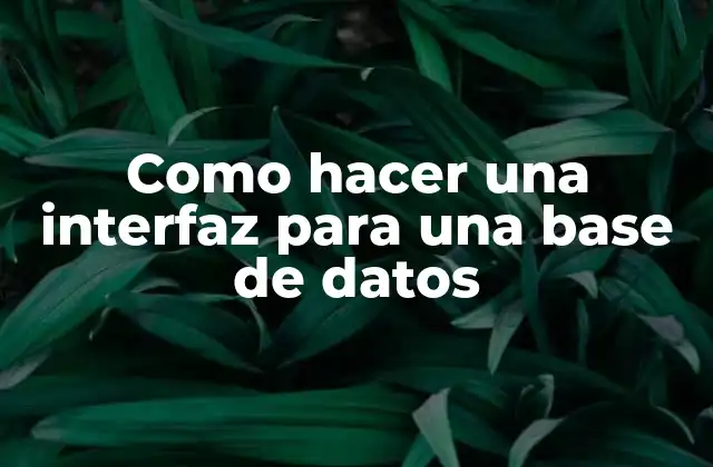 Como Hacer una Interfaz para una Base de Datos