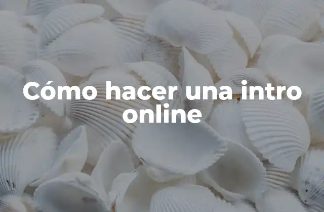 Cómo Hacer una Intro Online