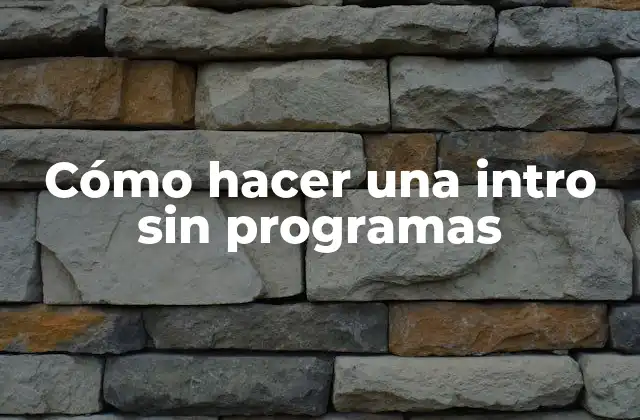 Cómo Hacer una Intro sin Programas