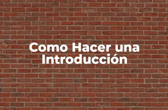 Como Hacer una Introducción