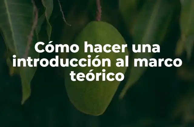 Cómo Hacer una Introducción Al Marco Teórico