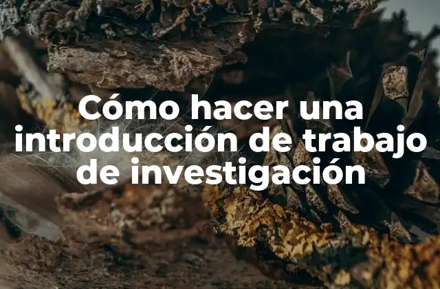 Introducción de trabajo de investigación