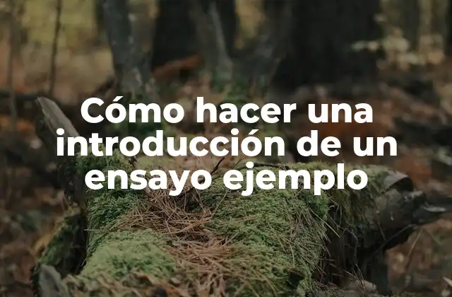 Cómo Hacer una Introducción de un Ensayo Ejemplo