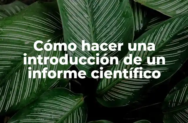 Cómo Hacer una Introducción de un Informe Científico 2 ¿Qué es una introducción de un informe científico?