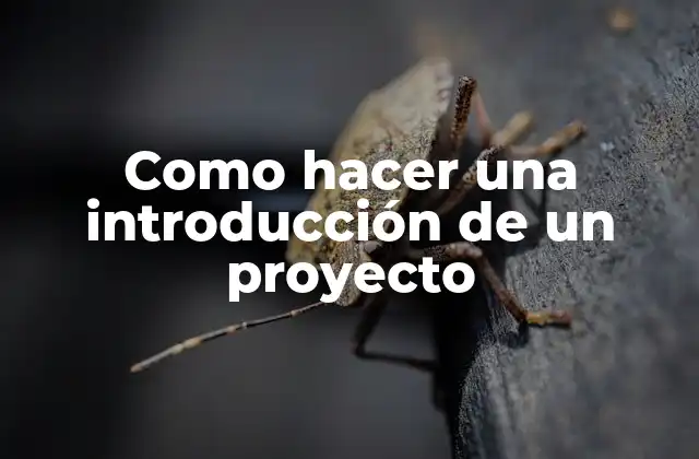 Como Hacer una Introducción de un Proyecto