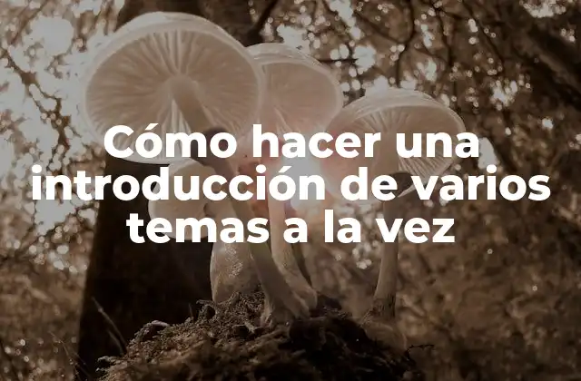 Cómo Hacer una Introducción de Varios Temas a la Vez