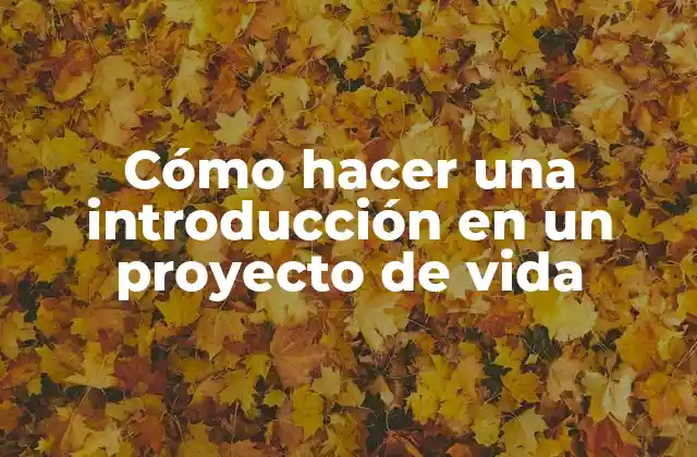 Cómo Hacer una Introducción en un Proyecto de Vida 2 Cómo hacer una introducción en un proyecto de vida