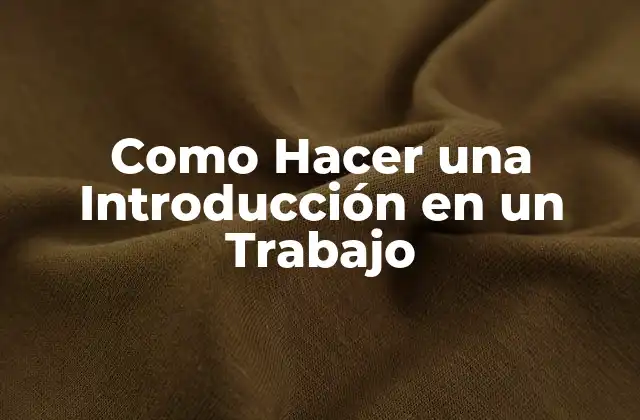Como Hacer una Introducción en un Trabajo