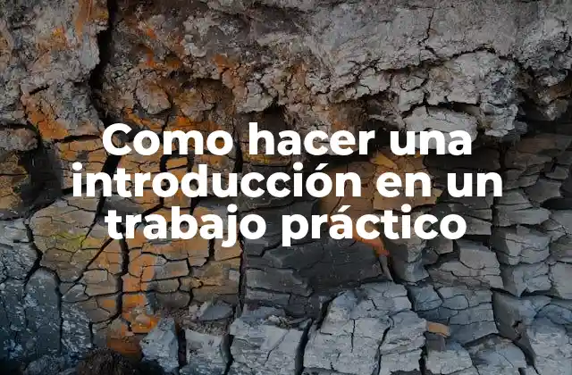 Como Hacer una Introducción en un Trabajo Práctico