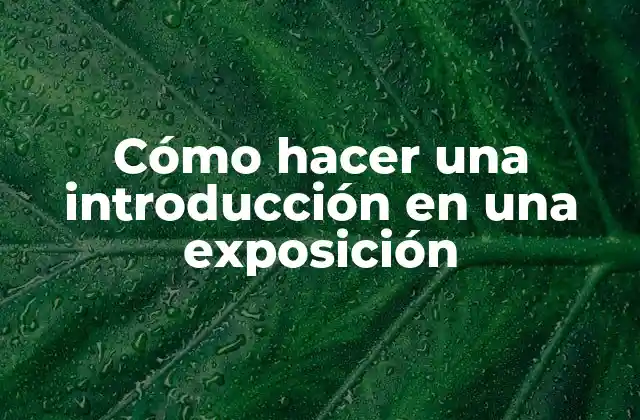 Cómo Hacer una Introducción en una Exposición