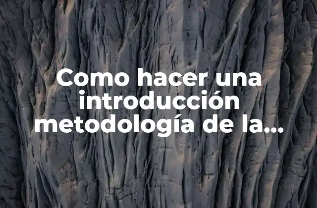 Como Hacer una Introducción Metodología de la Investigación