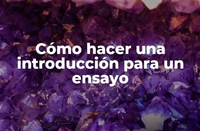Cómo Hacer una Introducción para un Ensayo 2 ¿Qué es una introducción para un ensayo y para qué sirve?