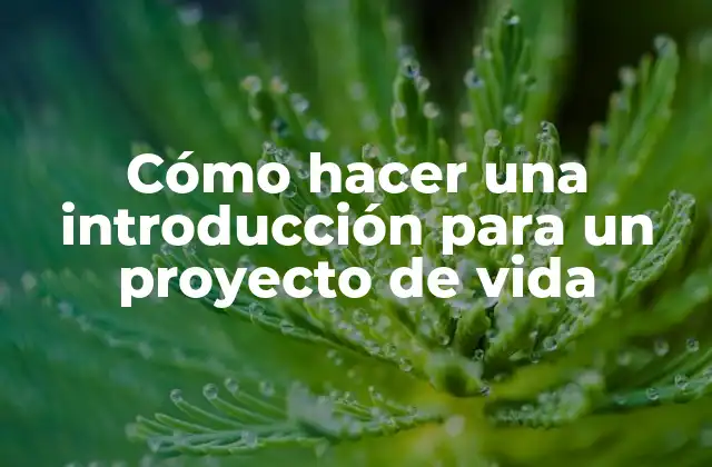 Cómo Hacer una Introducción para un Proyecto de Vida