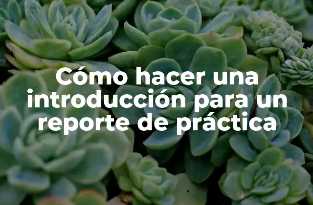 Cómo Hacer una Introducción para un Reporte de Práctica