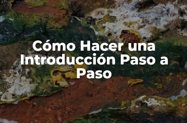 Cómo Hacer una Introducción Paso a Paso
