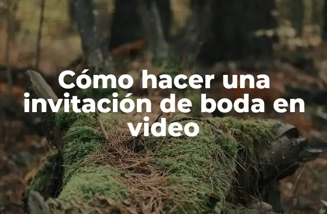 Cómo Hacer una Invitación de Boda en Video