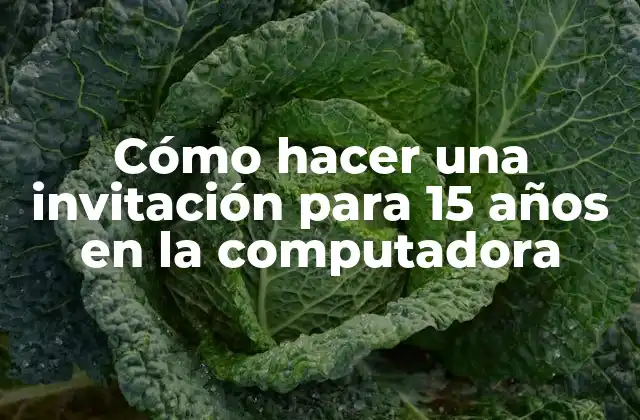Cómo Hacer una Invitación para 15 Años en la Computadora