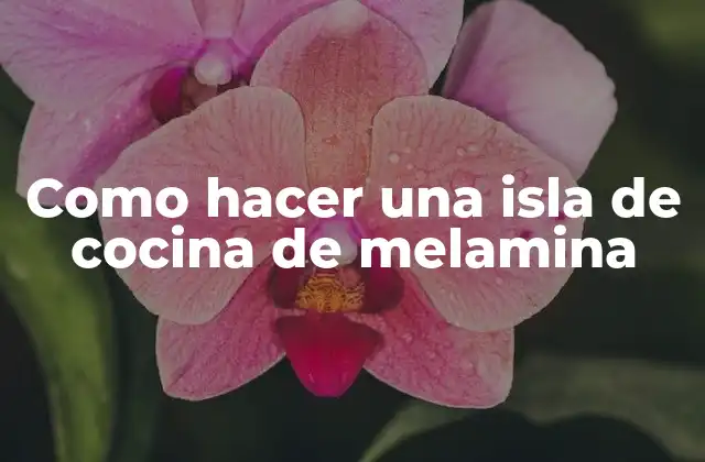 Como Hacer una Isla de Cocina de Melamina